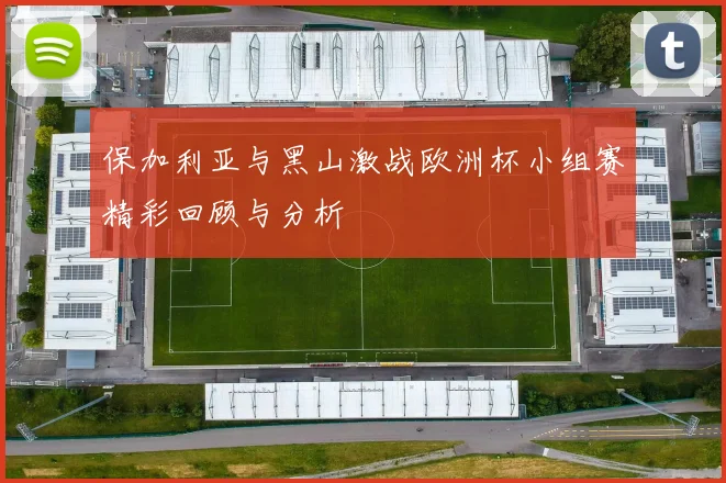 保加利亚与黑山激战欧洲杯小组赛精彩回顾与分析