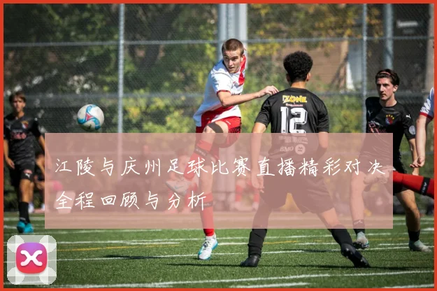 江陵与庆州足球比赛直播精彩对决全程回顾与分析