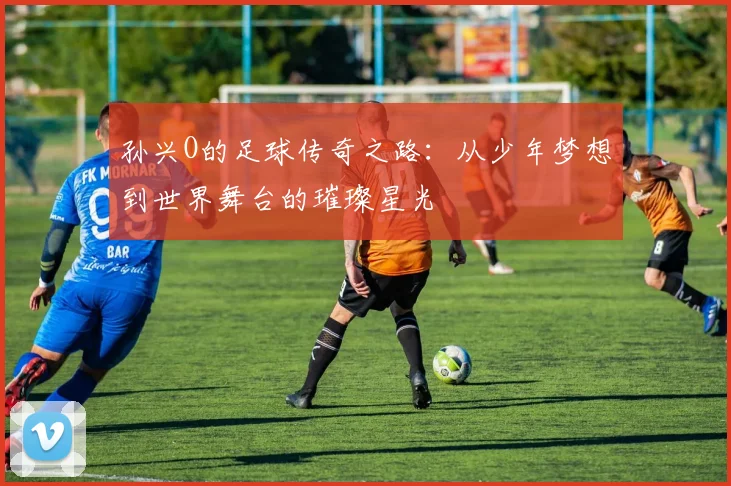孙兴O的足球传奇之路：从少年梦想到世界舞台的璀璨星光